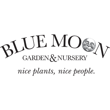 Blue Moon Garden and Nursery Logo
