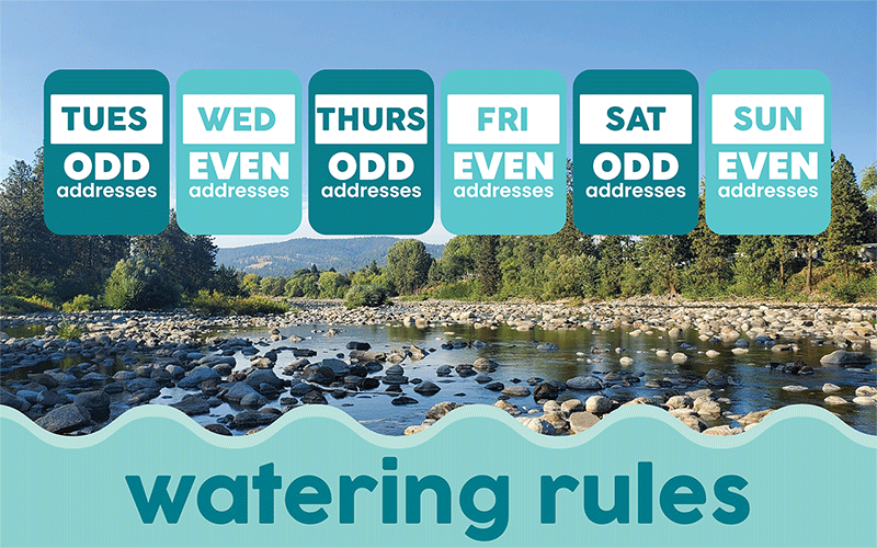 Watering Rules
