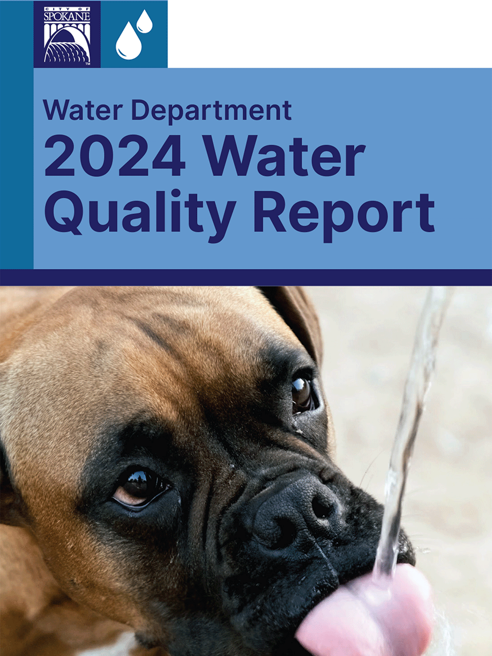 June 2025 Utility Insert - Water Quality Report