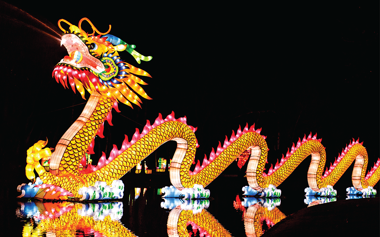 Chinese Lantern Festival Display