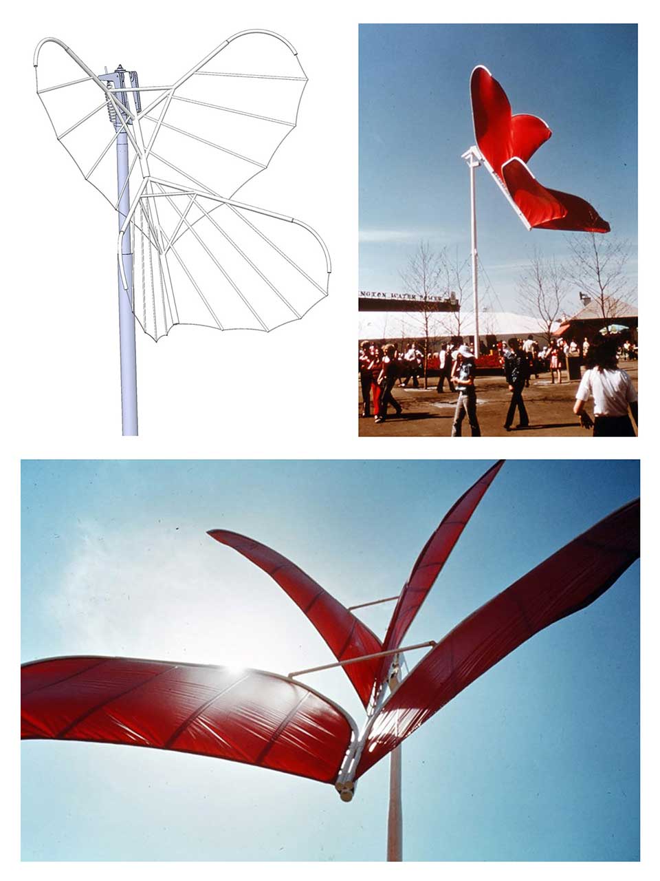 Proposed Wing Designs