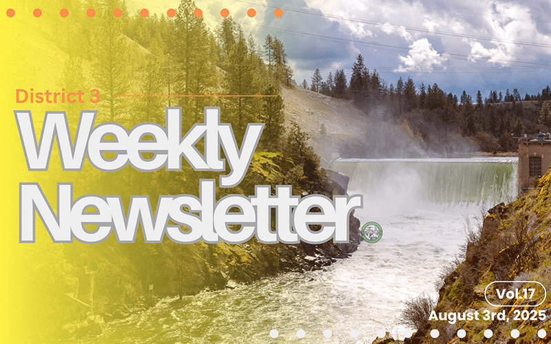 District 3 Weekly Newsletter Vol. 17