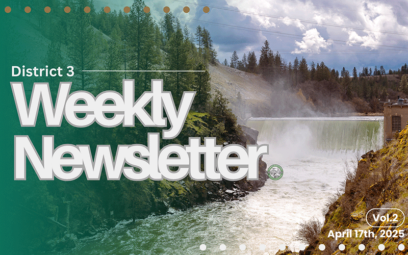 District 3 Weekly Newsletter Vol. 2