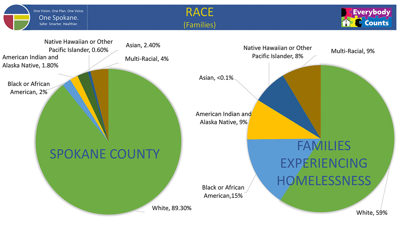 Race - Families - 2019 PIT Count