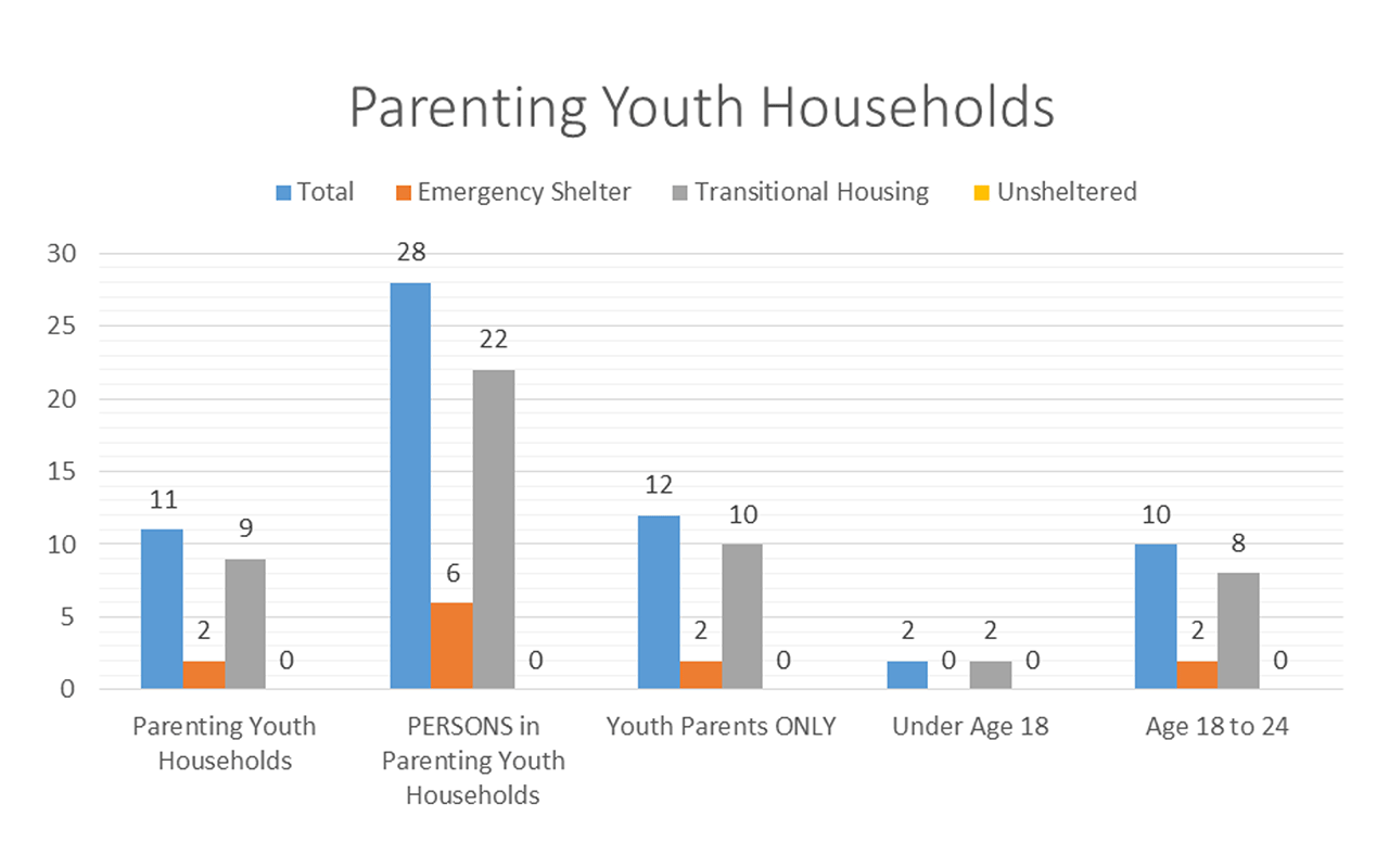Parenting youth households