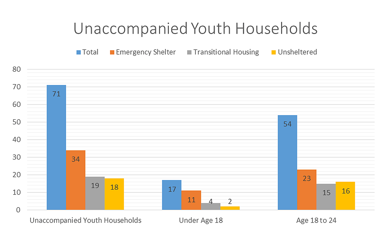 Unaccompanied youth households