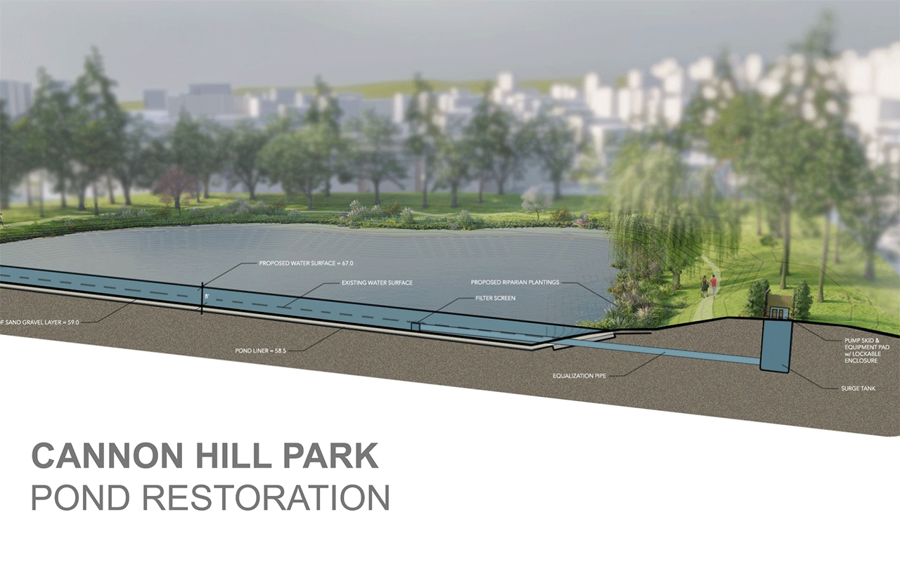 Cannon Hil Park Pond Restoration Restoration