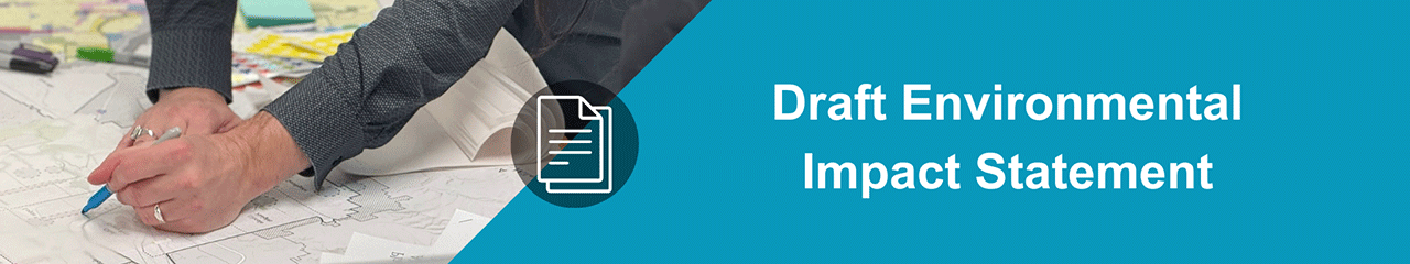 Draft Environmental Impact Statement (DEIS)