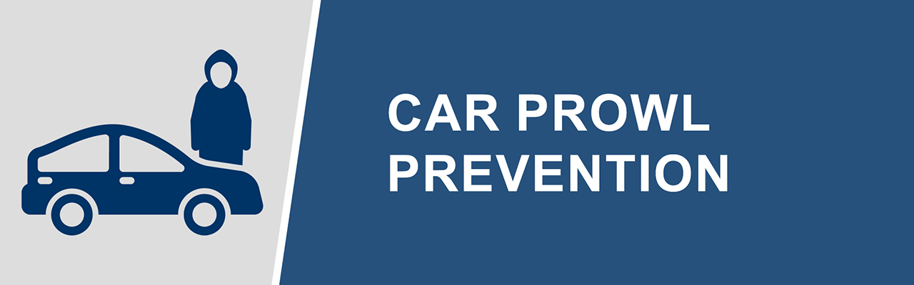 Car Prowl Prevention