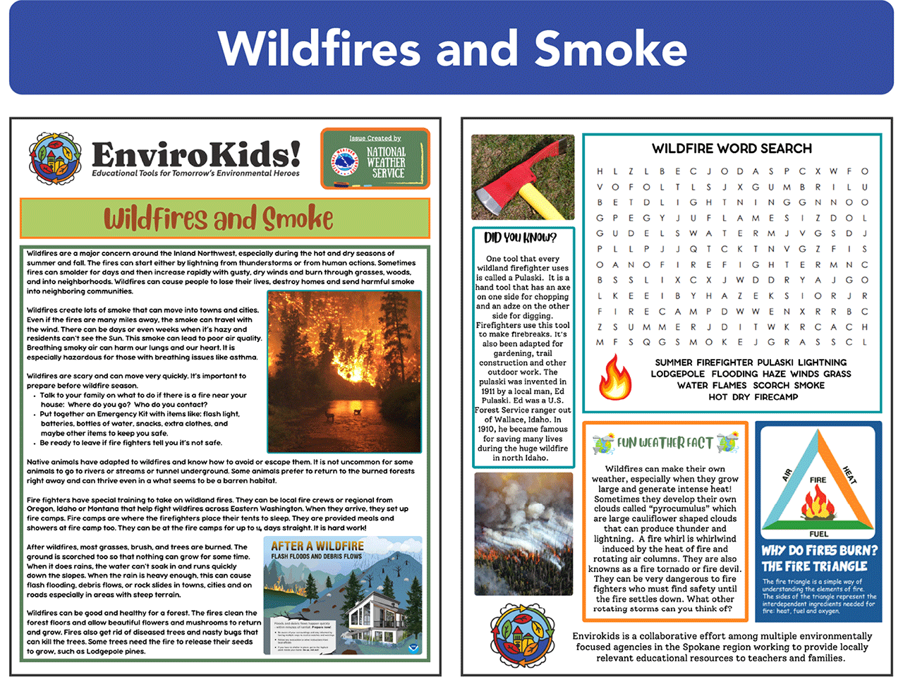 Wildfires and Smoke