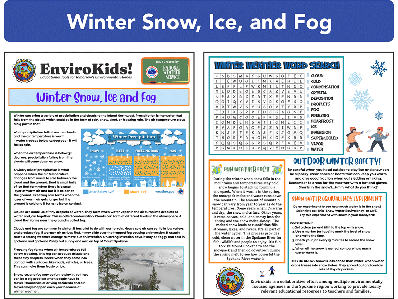 Winter Snow, Ice, and Fog