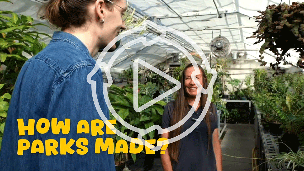 How Are Parks Made?