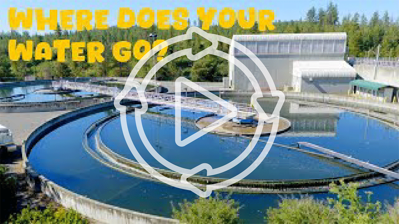 Where Does Your Water Go?