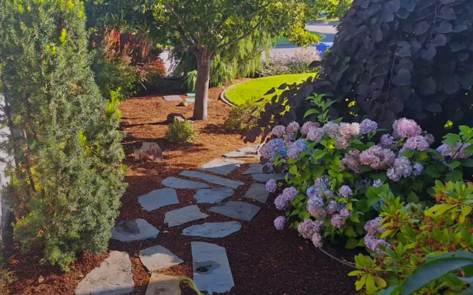 Ecohaven Solutions example work