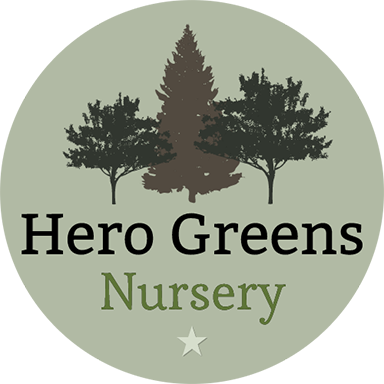 Hero Greens Nursery Logo