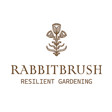 Rabbitbrush Logo