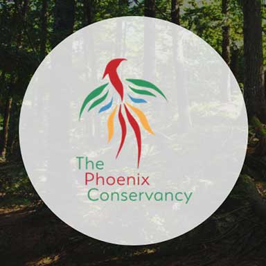 Phoenix Conservancye Logo
