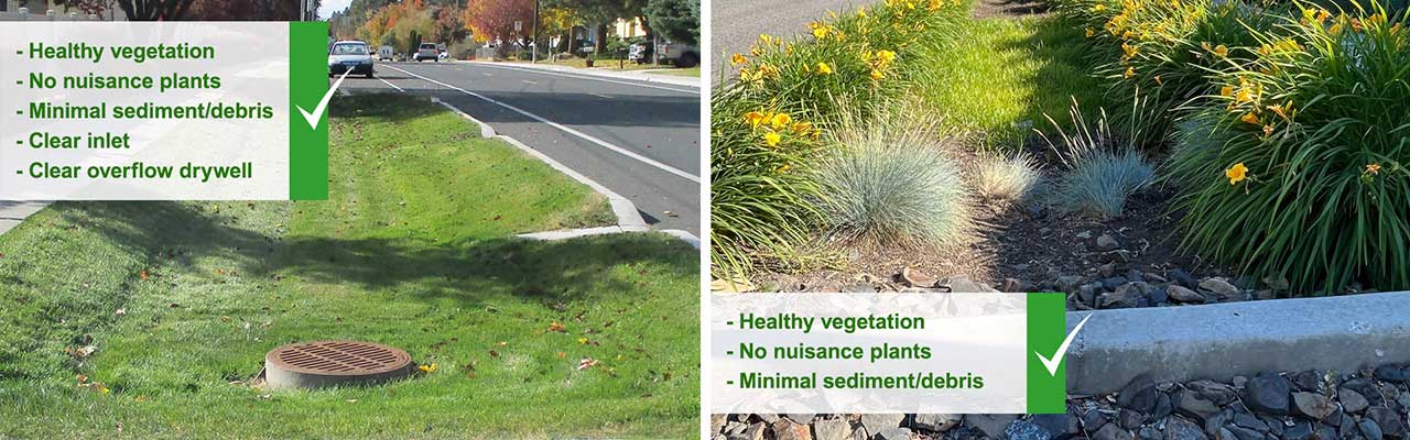 Well-maintained Stormwater Facility Examples