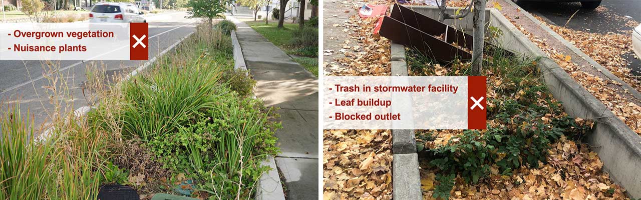 Poorly maintained Stormwater Facility Examples