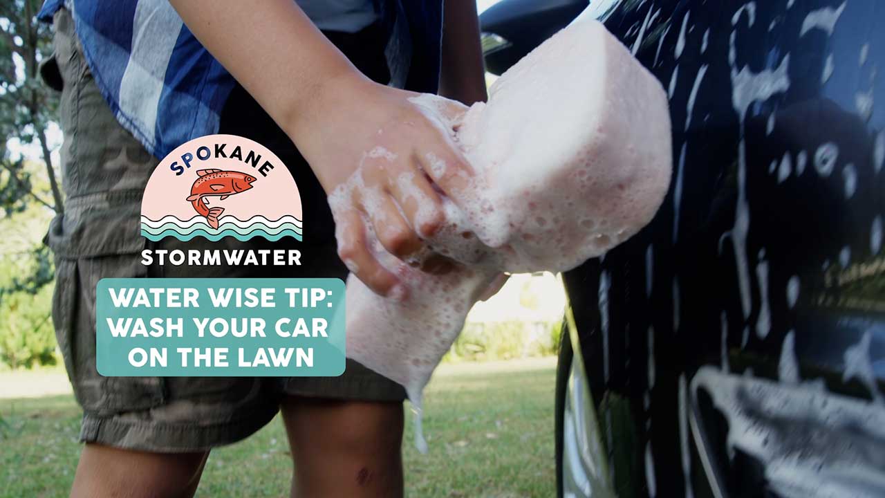 Wash Your Car on the Lawn or Gravel