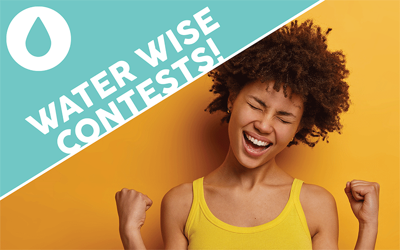 Contests