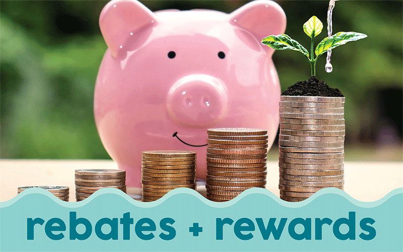 Rebates and Rewards