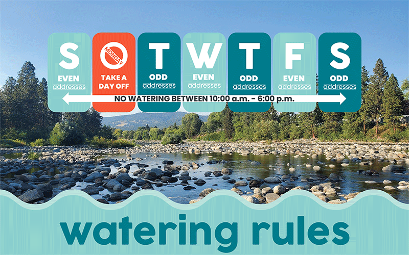 Watering Rules