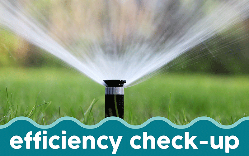 Water Efficiency Check-ups