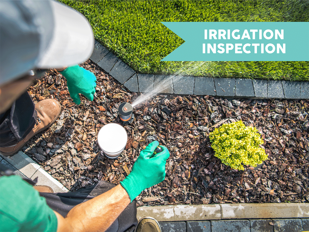 Irrigation Inspection