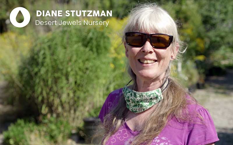 Diane Stutzman - Desert Jewels Nursery