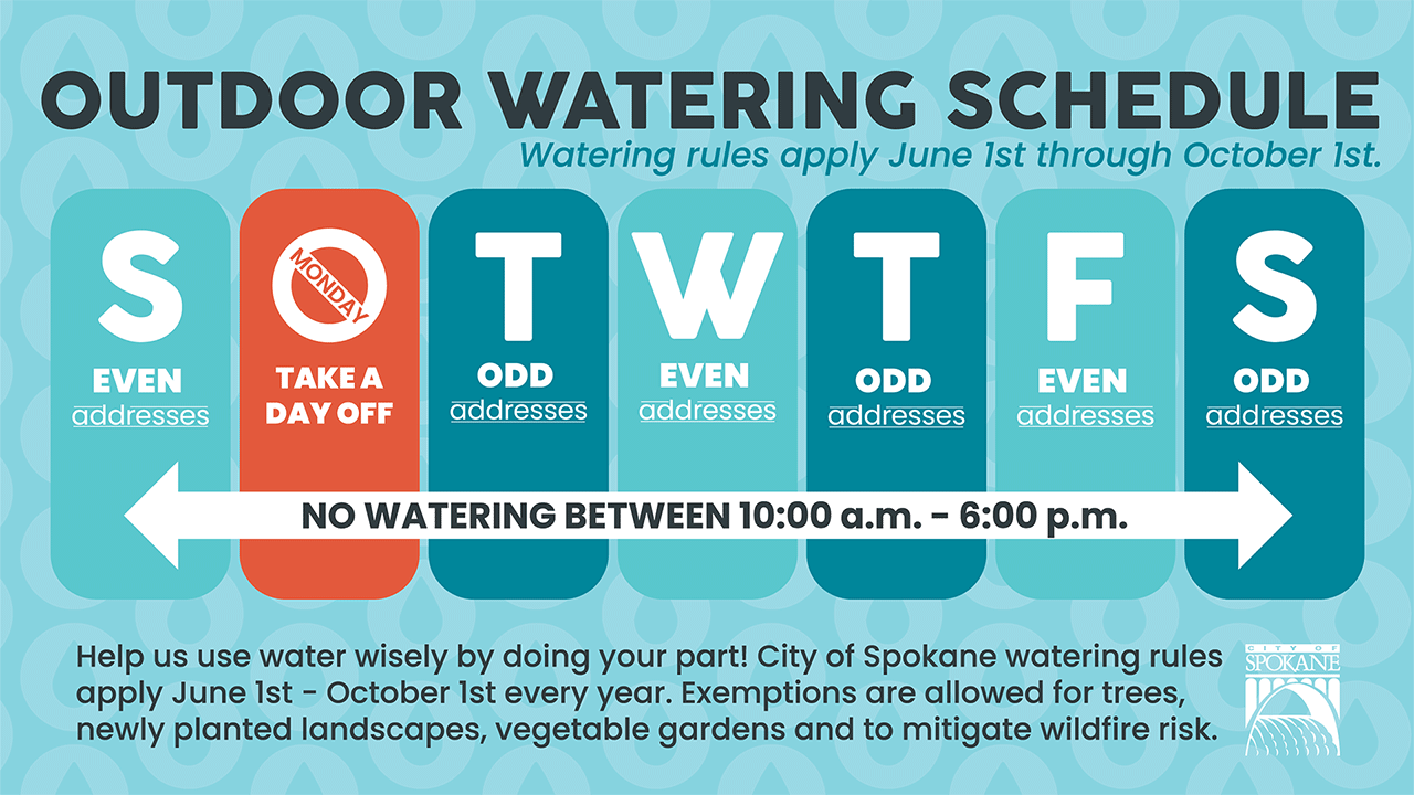 Summer Watering Schedule