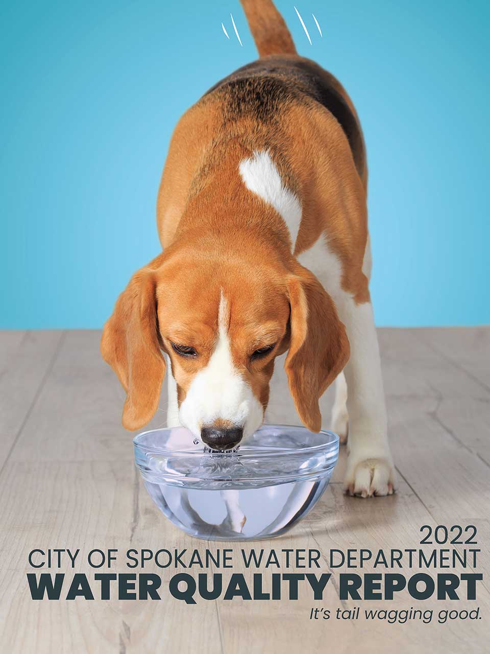2022 Water Quality Report cover page