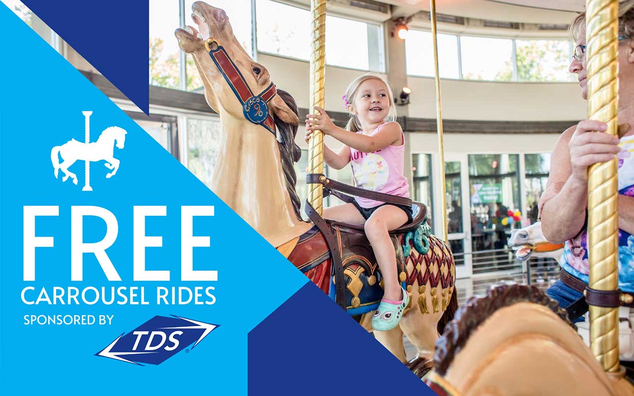 Free Carrousel Rides Sponsored by TDS Fiber
