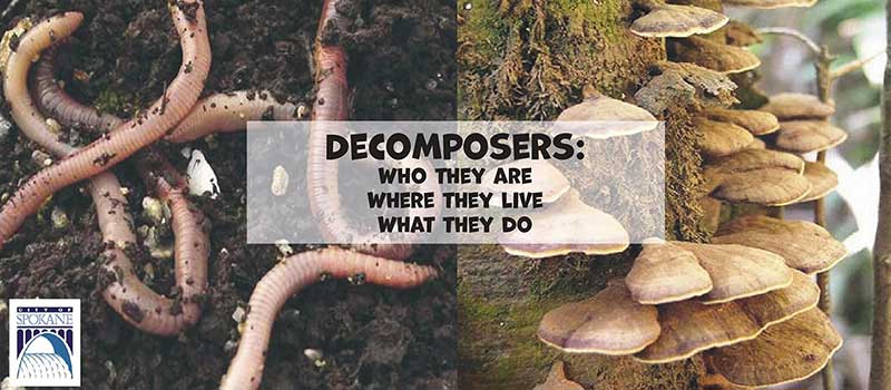 Decomposer Kit
