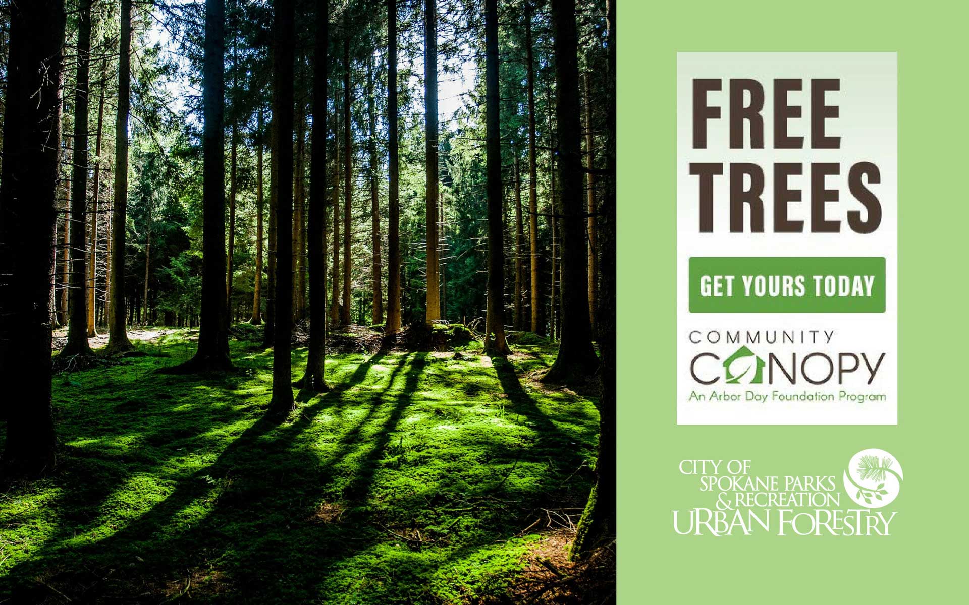 Change Air Filter >> Free Trees Now Available from City of Spokane Urban ... Change Air Filter >> Free Trees Now Available from City of Spokane Urban ...
