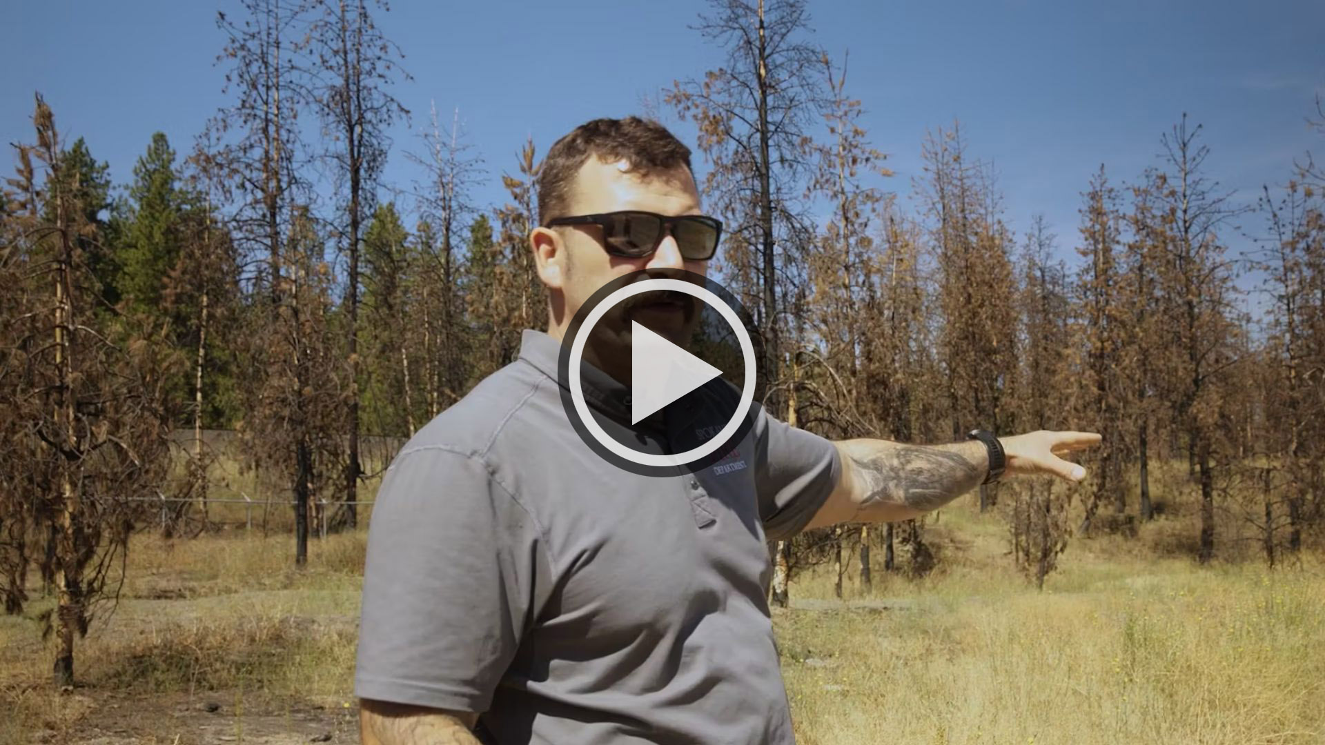 Spokane Parks Levy - Fuels Reduction