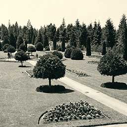 Looking slightly southwest across the formal gardens in Manito Park, 1935-07. courtesy of Spokane Public Library's Northwest Room