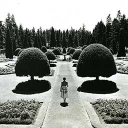 Manito Park's Duncan Garden sometime between 1940-1960 courtesy of Washington State Archives