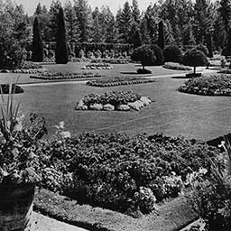 Manito Park's Duncan Garden, Leo's Studio, 1943, courtesy of Washington State Archives