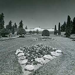 Manito Park's Duncan Garden between 1955-1965 courtesy of Washington State Archives