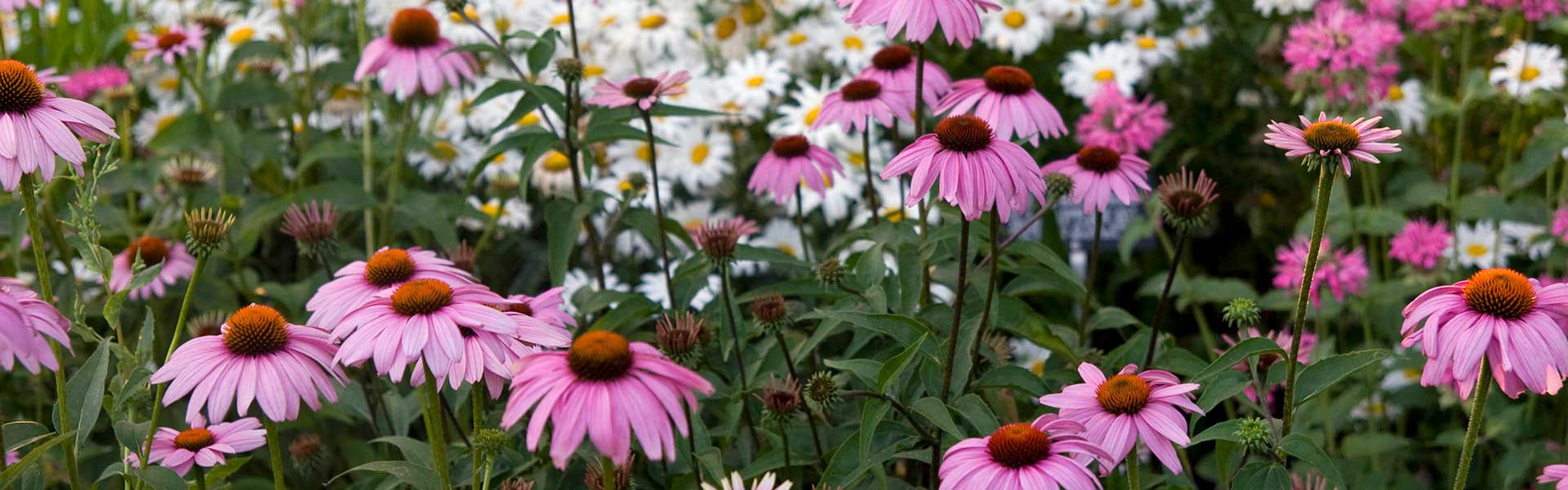 Joel E. Ferris Perennial Garden - City of Spokane, Washington