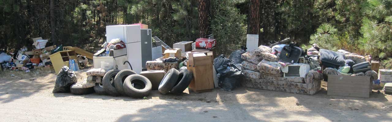 Illegal Dumping