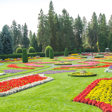 Duncan Garden in the Summer
