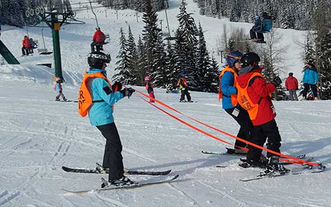 Adaptive Ski 2