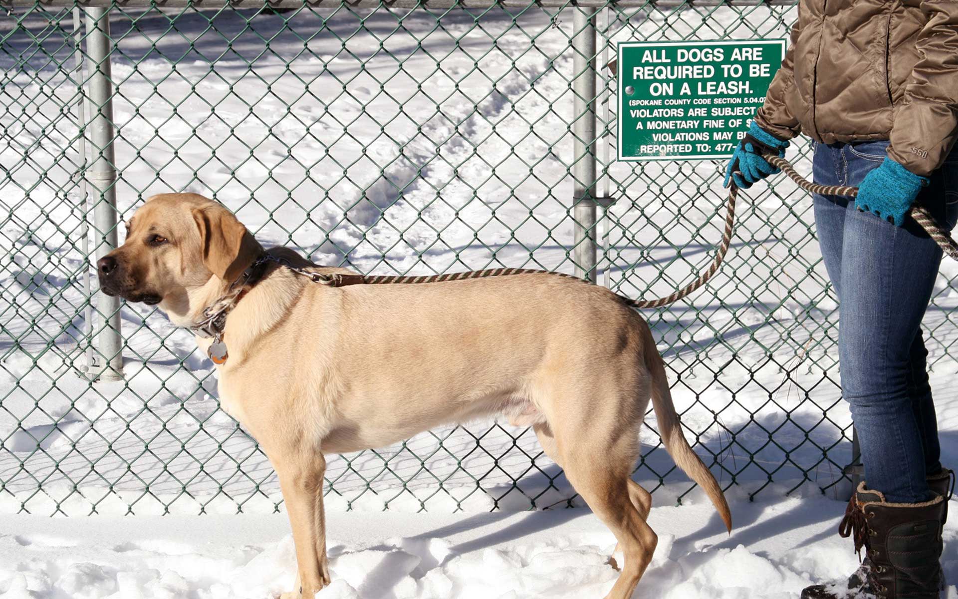 Unleashed! City of Spokane, Washington