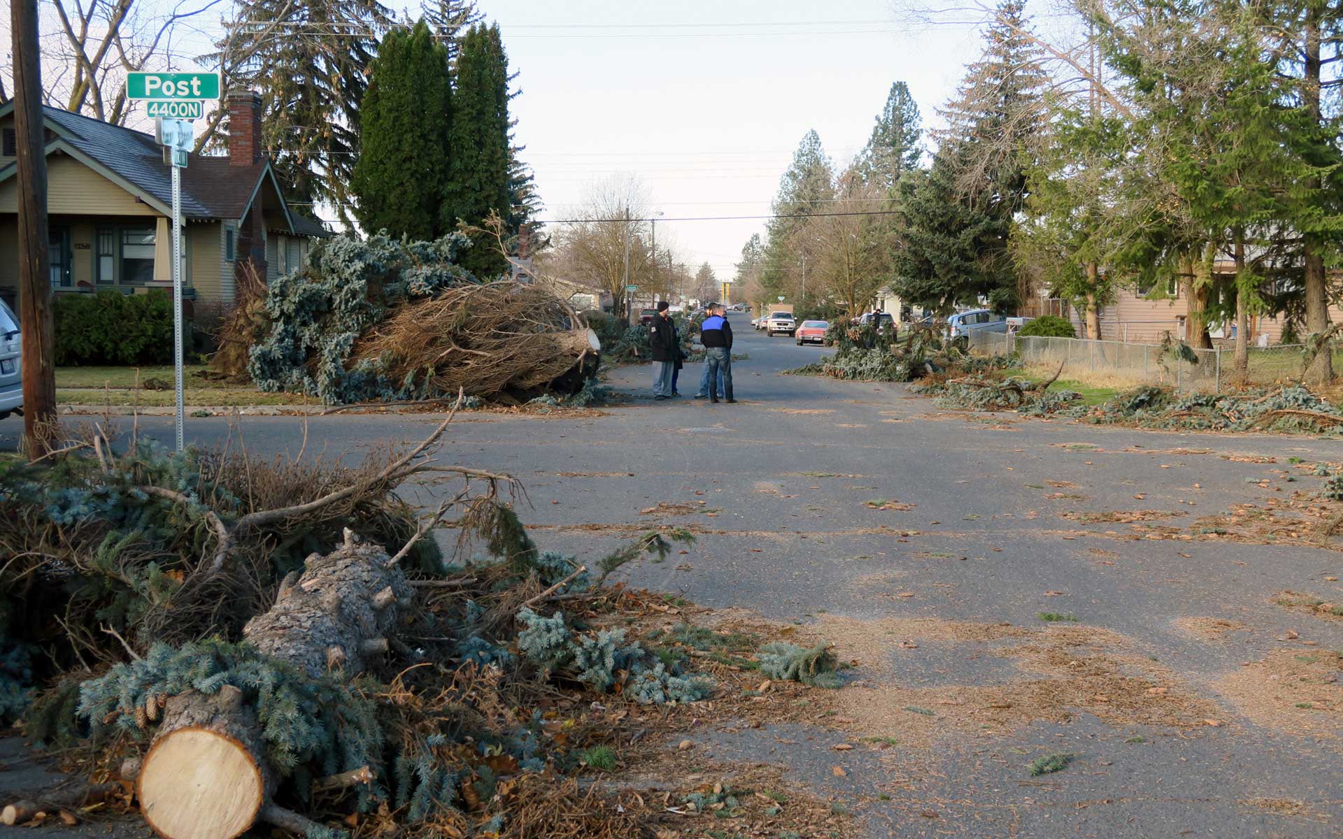 Rebuilding after the windstorm City of Spokane, Washington