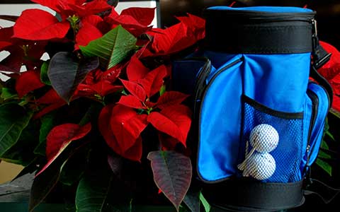 Golf bag and poinsettia