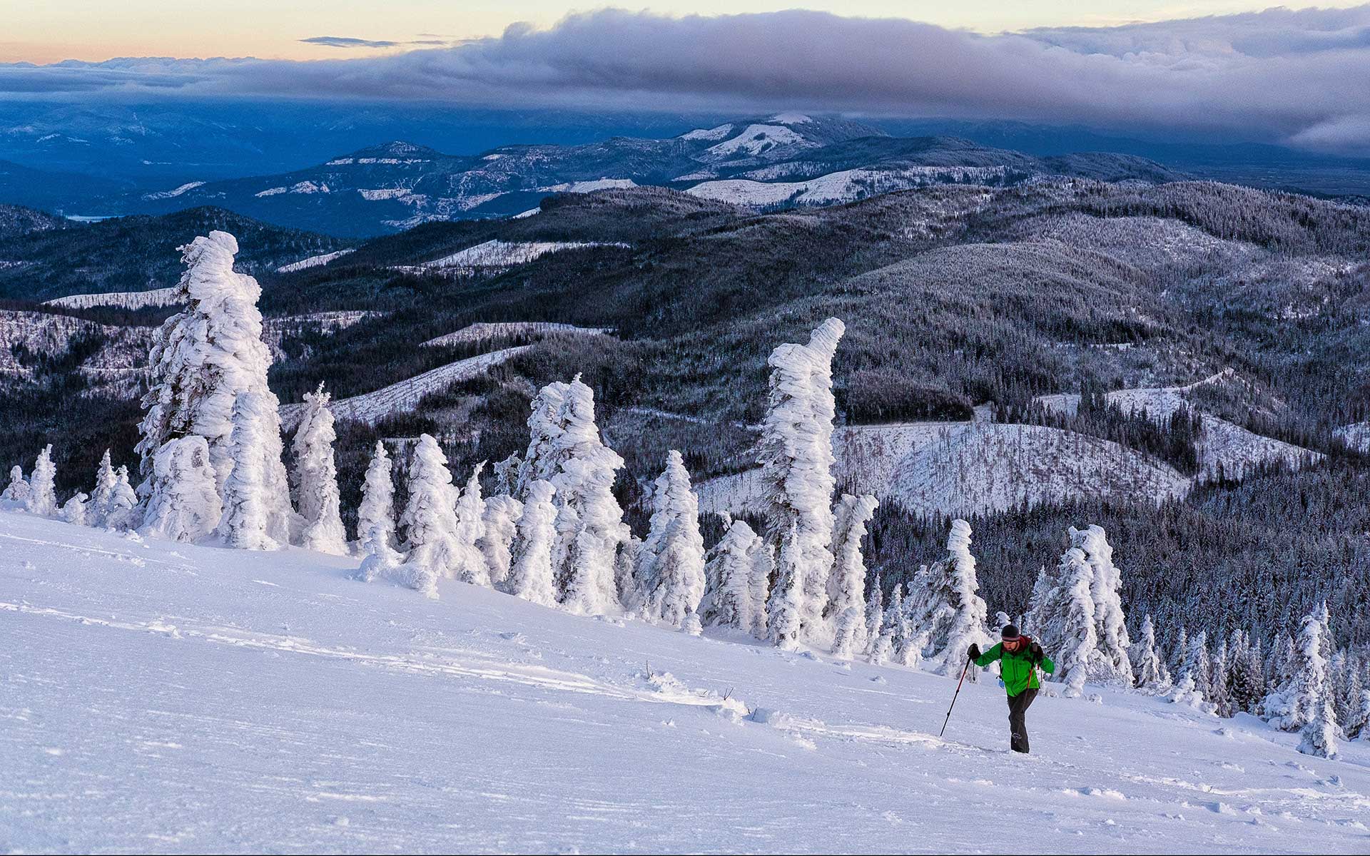 Snowshoe City of Spokane, Washington