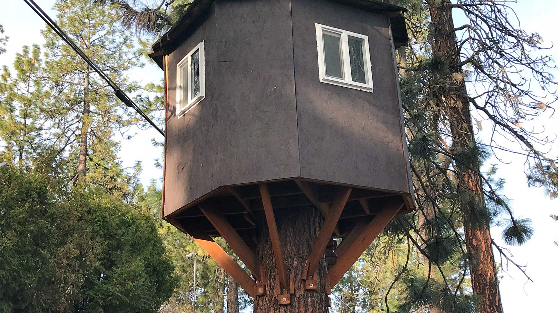Do Treehouses Need a Building Permit? City of Spokane, Washington