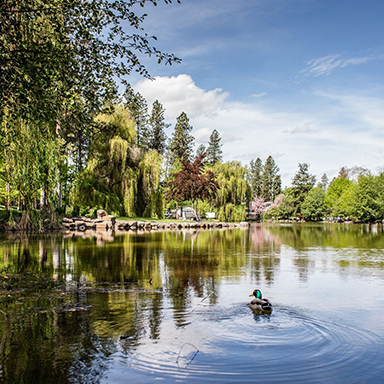 Mirror Pond at Manito Park